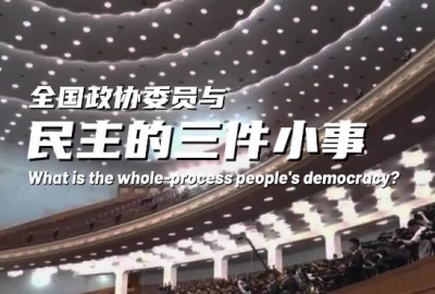 Whole-process people's democracy in views of CPPCC members