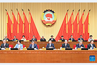 Senior CPPCC members study guiding principles from Xi's speech on CPPCC