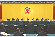 CPPCC members meet on development and protection of energy and resources