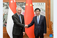 Wang Huning meets with senior minister of Singapore