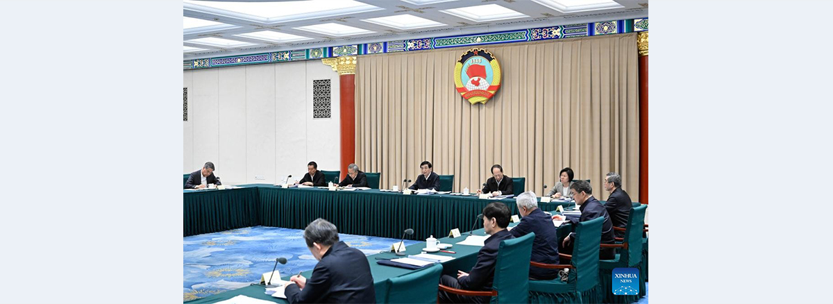 Wang Huning calls for focus on economic work