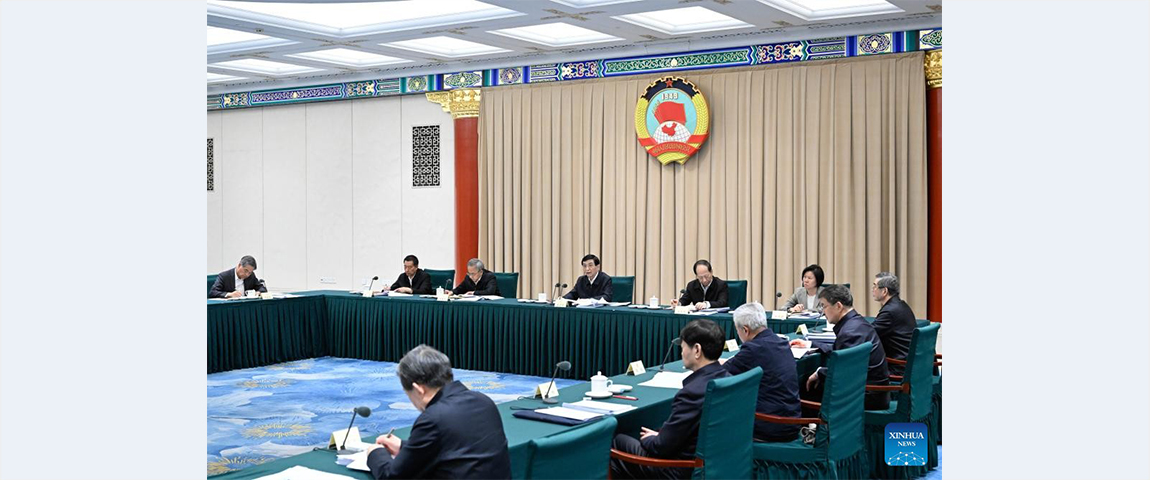 Wang Huning calls for focus on economic work