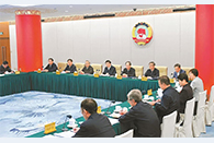 CPPCC members discuss strengthening grassroots social governance in border areas