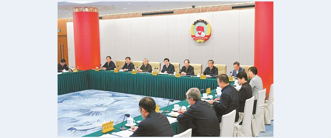 CPPCC members discuss strengthening grassroots social governance in border areas