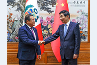 Wang Huning meets Congress of Peru president