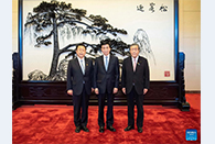 Wang Huning meets Japan's ruling coalition delegation