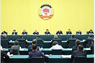 Wang Huning stresses strengthening IP rights protection