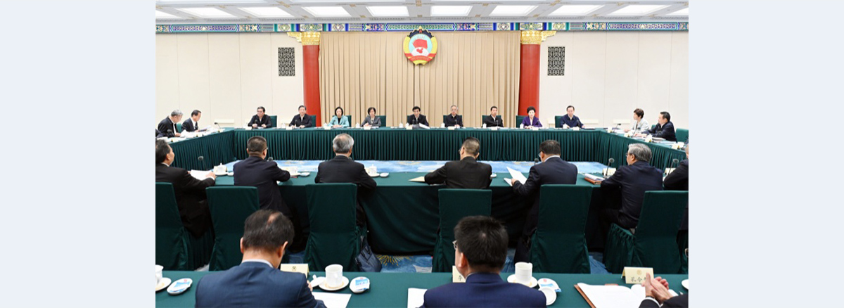 CPPCC members discuss uniting overseas Chinese and guiding them to convey China’s voice