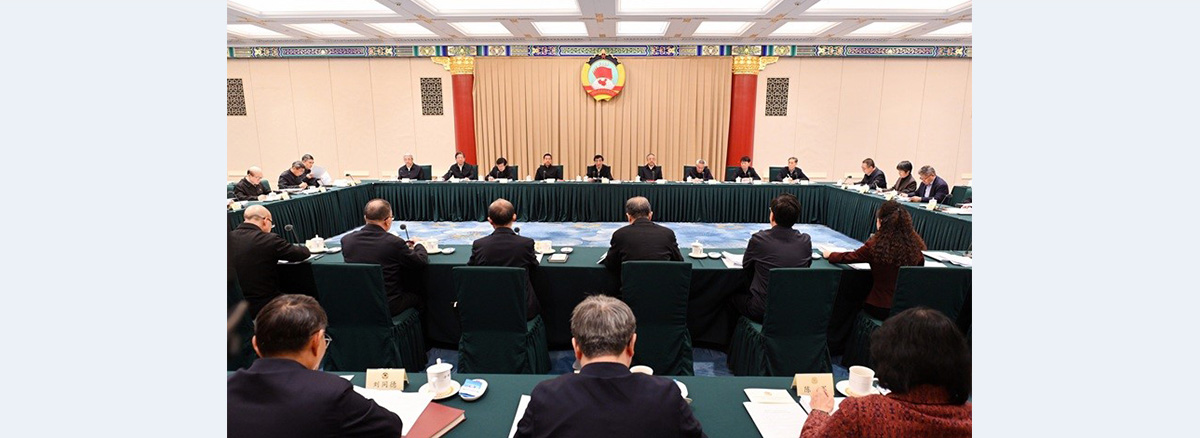 CPPCC members discuss consolidating and improving basic rural management system