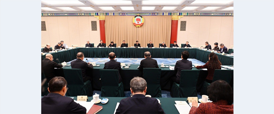 CPPCC members discuss consolidating and improving basic rural management system