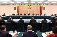 CPPCC members discuss consolidating and improving basic rural management system