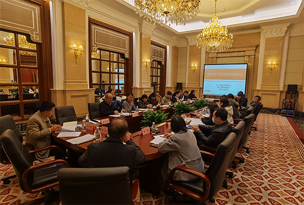 Expert seminar on maternity safety held in Chongqing