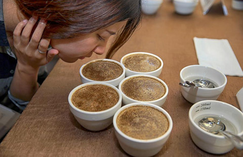 A glimpse of coffee exchange in Chongqing