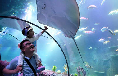 Sea Life aquarium center opens in SW China