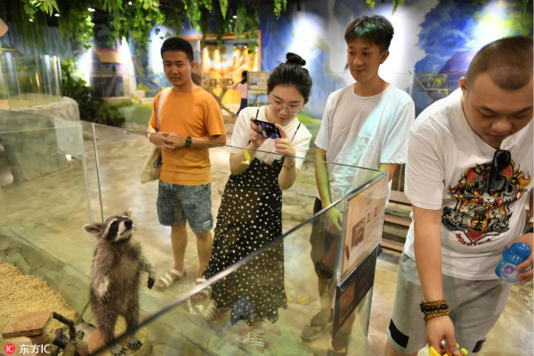 Indoor petting zoo opens in Chongqing