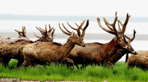 1551254829484010180.jpg 11.jpg