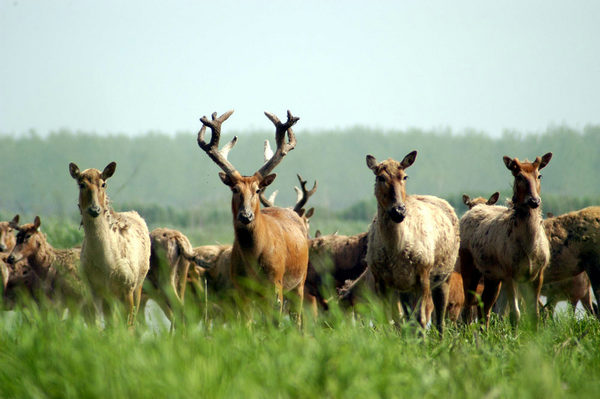 1551255632906070191.jpeg a.jpeg