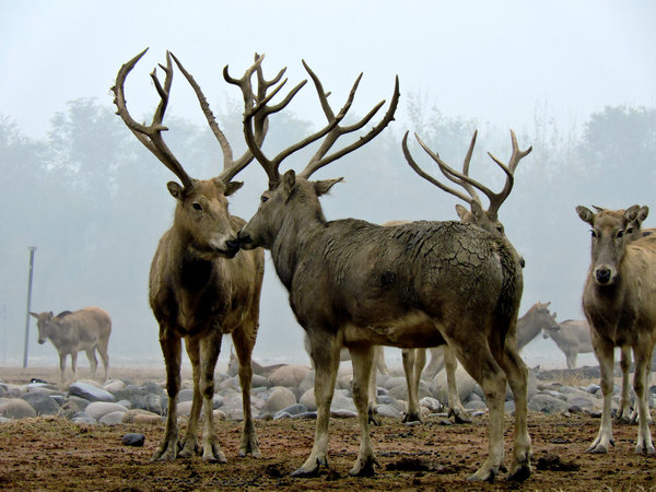 1551255699208098128.jpeg b.jpeg