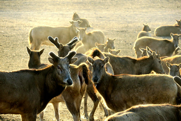 1551256660775030006.jpeg c.jpeg