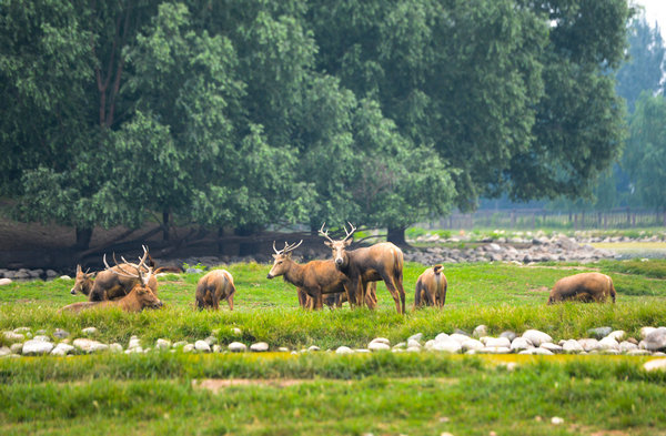 1551256843508005005.jpeg d.jpeg