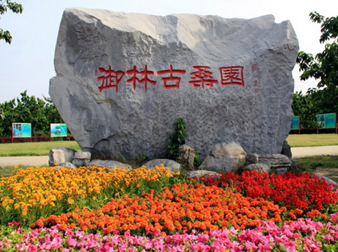 1551343117845001726.png 2.png