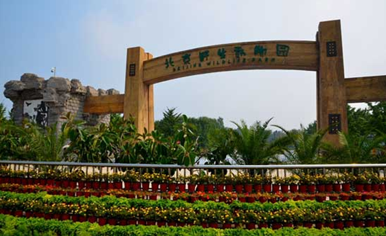 1551343266231073041.png 4.png