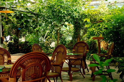 1551343430788024272.png 7.png