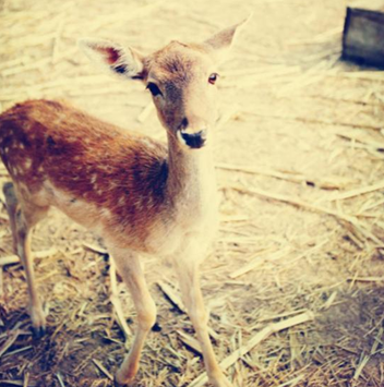 1551343637318099923.png 8.png