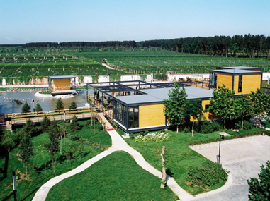 1551343978049021937.png 11.png