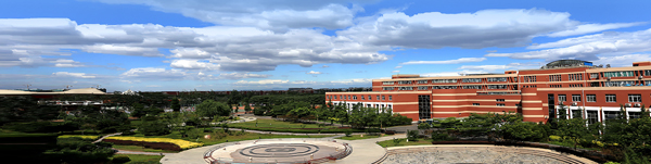 1551403640412004731.jpg 阳光情.jpg