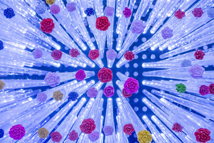 1551755270120007469.jpg 4.jpg