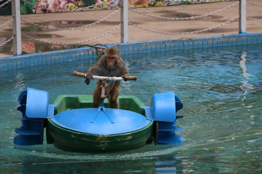 1562910293006022707.png 4.png