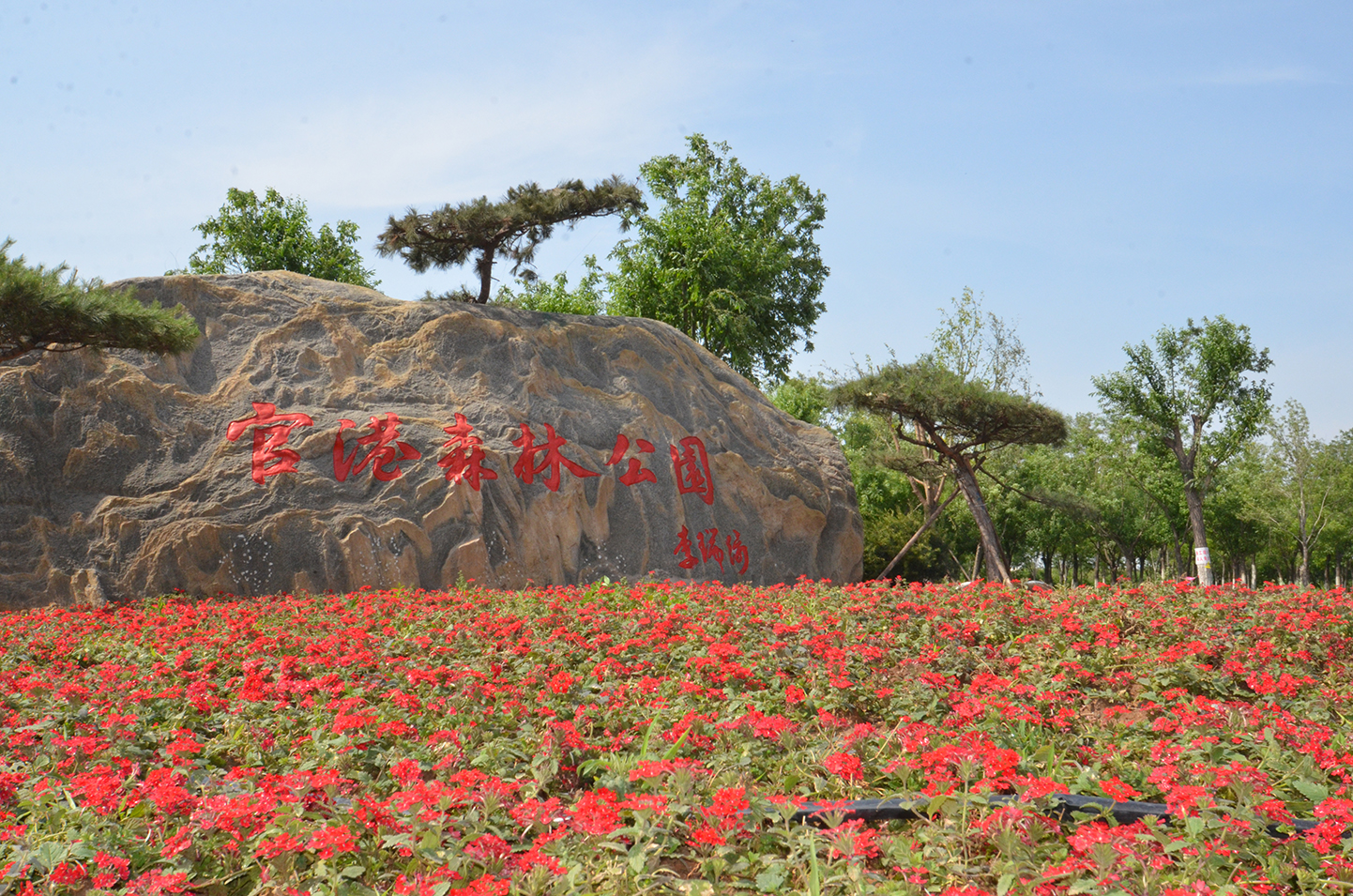 6.官港森林公园1.jpg