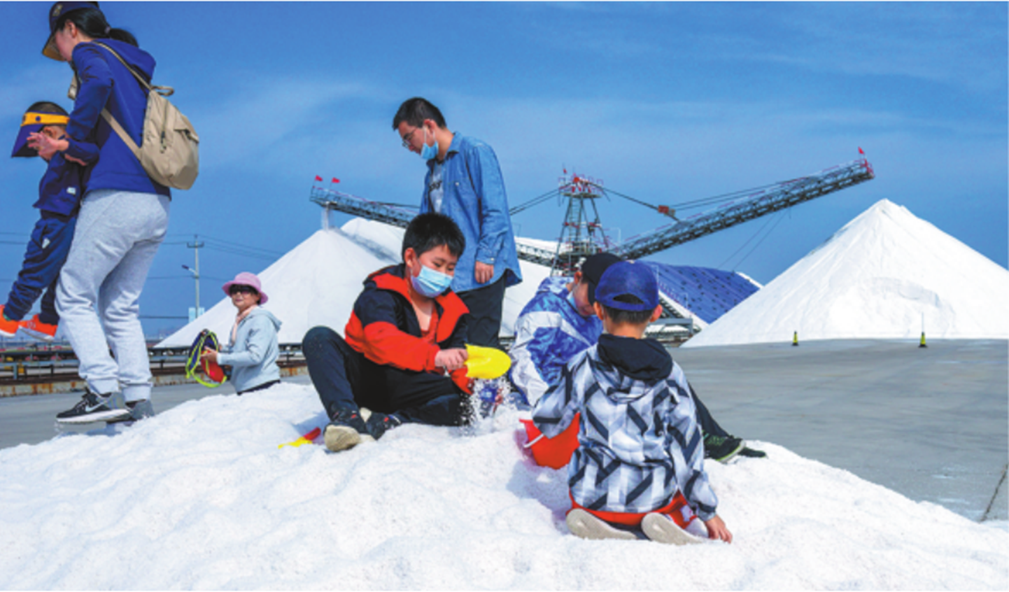 1766040305155011260.png 盐田2.png