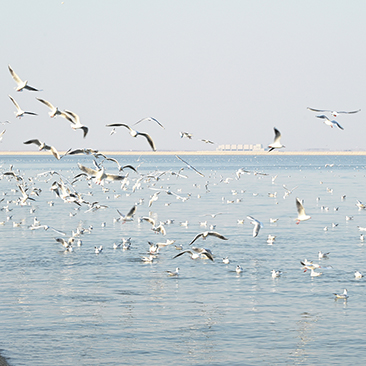 Dongjiang Coastal Park