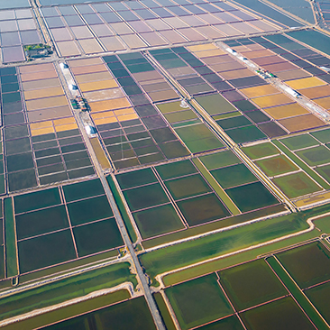 Changlu Salt Field