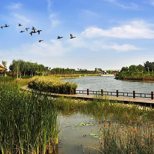 Eco Valley Park Cycling Route