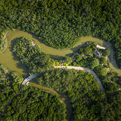 Tanggu Forest Park