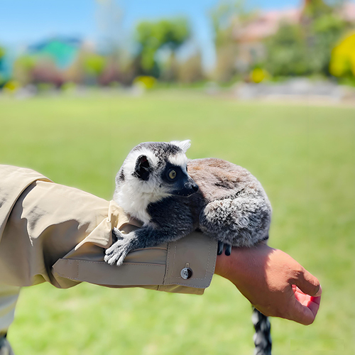 Tianjin Wildlife Park