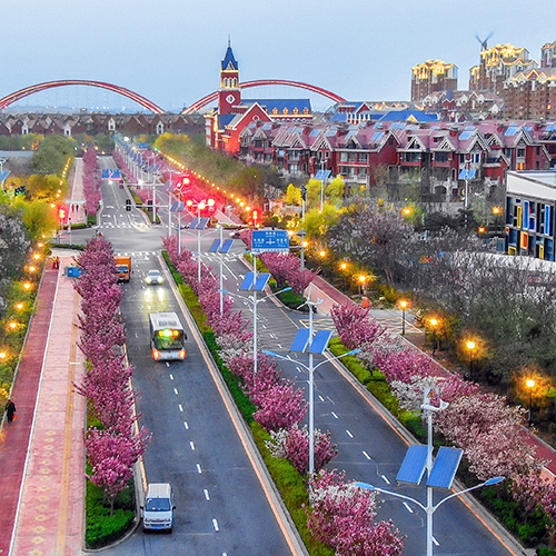 Tianjin Dongjiang Comprehensive Bonded Zone