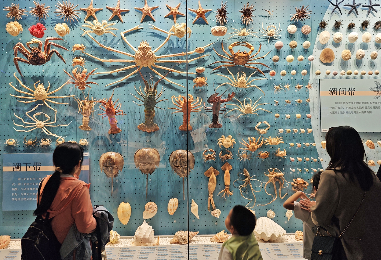 Winter Special Exhibition Series of the National Maritime Museum