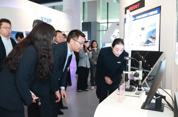 1763621671581015942.jpg 香港调研_副本.jpg