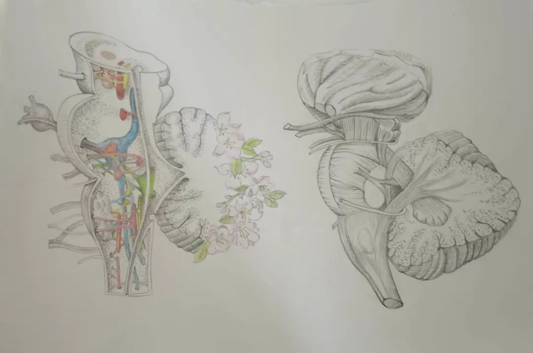 1620638811016013341.jpg 1620638811016013341.jpg