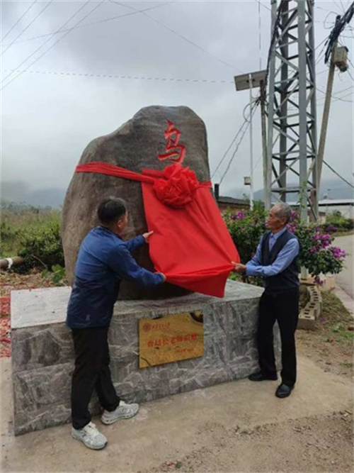 1752564026807063436.jpg 4.jpg