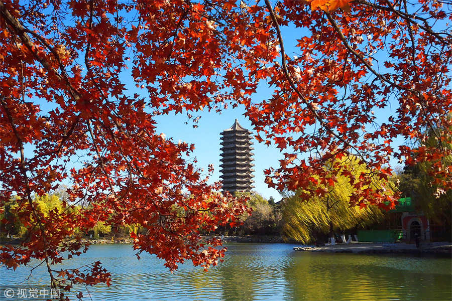 Charming Peking University campus scenery