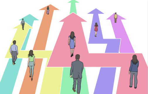 College major choices turning more interest-driven among Chinese youth