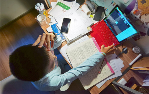 Political advisers discuss regulations for online education