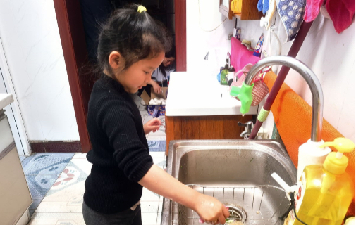 Curriculum to include household skills