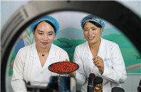 Wolfberries give fruit to poverty relief in Ningxia