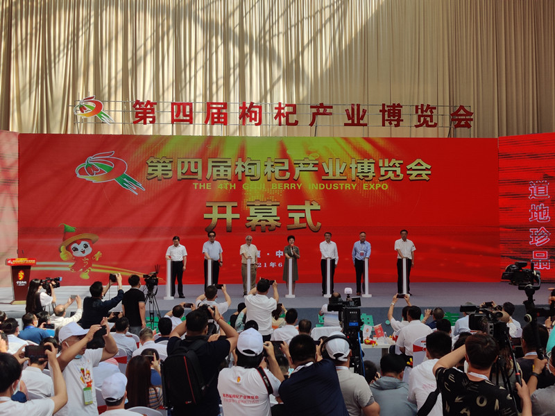 4th Goji Berry Industry Expo opens in Ningxia.jpg